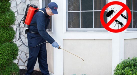 Çakmaklı Hamam Böceği İlaçlama böcek ilaçlama ve haşere kontrolü — ilaclama-tr.com